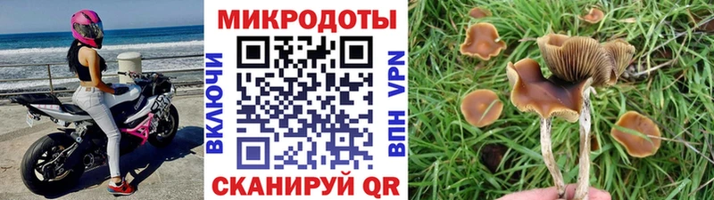 Псилоцибиновые грибы Psilocybe  закладка  Светлый 